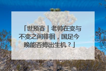 世预赛｜老帅在变与不变之间徘徊，国足今晚能否搏出生机？