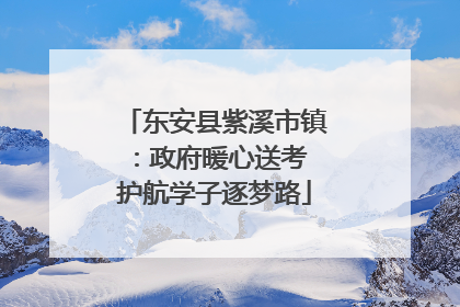 东安县紫溪市镇：政府暖心送考 护航学子逐梦路