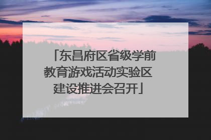 东昌府区省级学前教育游戏活动实验区建设推进会召开