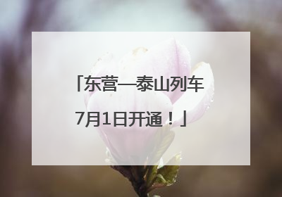 东营—泰山列车7月1日开通！