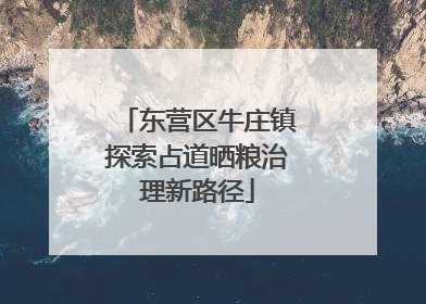 东营区牛庄镇探索占道晒粮治理新路径