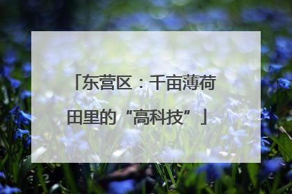 东营区：千亩薄荷田里的“高科技”