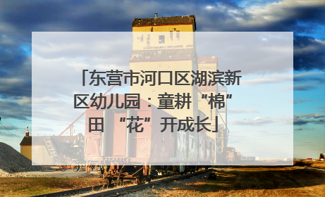 东营市河口区湖滨新区幼儿园：童耕“棉”田 “花”开成长