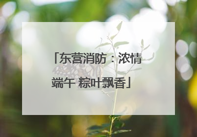 东营消防：浓情端午 粽叶飘香