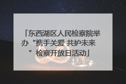 东西湖区人民检察院举办“携手关爱 共护未来”检察开放日活动