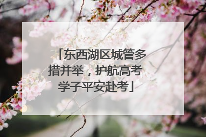 东西湖区城管多措并举，护航高考学子平安赴考