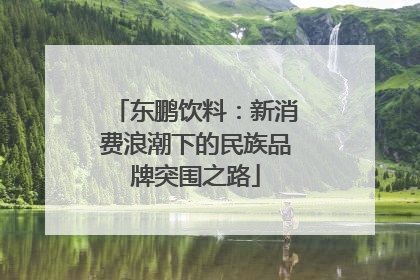 东鹏饮料：新消费浪潮下的民族品牌突围之路