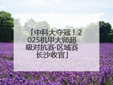 中科大夺冠！2025机甲大师超级对抗赛·区域赛长沙收官