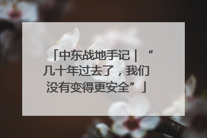 中东战地手记｜“几十年过去了，我们没有变得更安全”