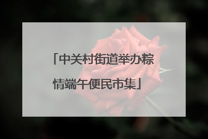 中关村街道举办粽情端午便民市集
