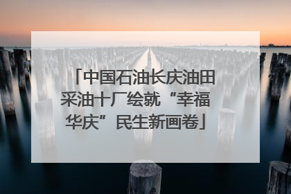 中国石油长庆油田采油十厂绘就“幸福华庆”民生新画卷