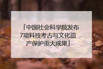 中国社会科学院发布7项科技考古与文化遗产保护重大成果