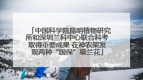 中国科学院昆明植物研究所和深圳兰科中心联合科考取得重要成果 在神农架发现两种“国保”级兰花