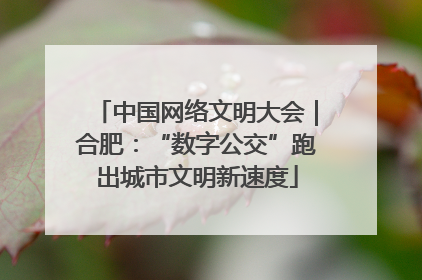 中国网络文明大会｜合肥：“数字公交”跑出城市文明新速度