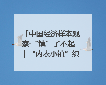 中国经济样本观察·“镇”了不起｜“内衣小镇”织出500亿元“里子产业”