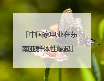 中国家电业在东南亚群体性崛起