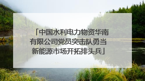 中国水利电力物资华南有限公司党员突击队勇当新能源市场开拓排头兵