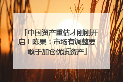 中国资产重估才刚刚开启！陈果：市场有调整要敢于加仓优质资产