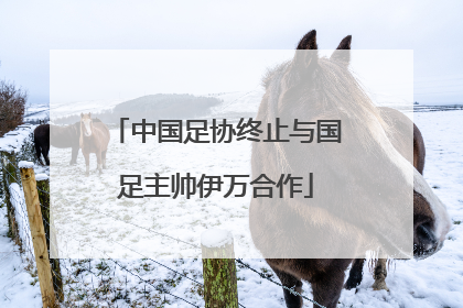 中国足协终止与国足主帅伊万合作