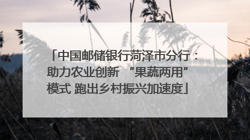 中国邮储银行菏泽市分行：助力农业创新 “果蔬两用”模式 跑出乡村振兴加速度