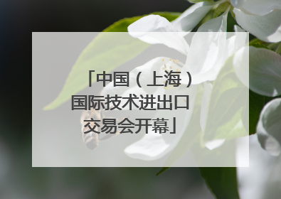 中国（上海）国际技术进出口交易会开幕