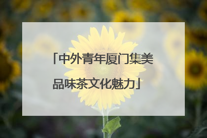 中外青年厦门集美品味茶文化魅力