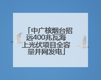 中广核烟台招远400兆瓦海上光伏项目全容量并网发电