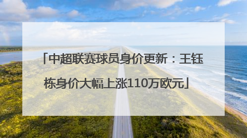 中超联赛球员身价更新：王钰栋身价大幅上涨110万欧元