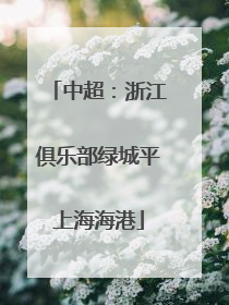 中超：浙江俱乐部绿城平上海海港