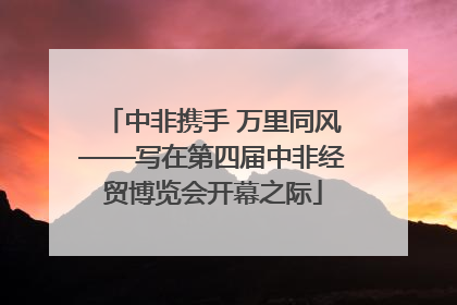 中非携手 万里同风——写在第四届中非经贸博览会开幕之际