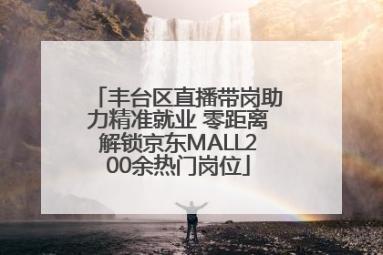 丰台区直播带岗助力精准就业 零距离解锁京东MALL200余热门岗位