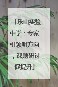 乐山实验中学：专家引领明方向，课题研讨促提升