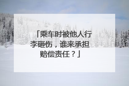 乘车时被他人行李砸伤，谁来承担赔偿责任？