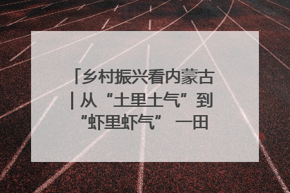 乡村振兴看内蒙古｜从“土里土气”到“虾里虾气” 一田双收模式火出圈