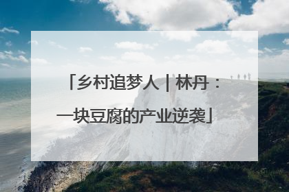 乡村追梦人｜林丹：一块豆腐的产业逆袭