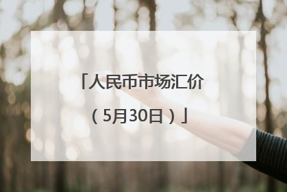 人民币市场汇价（5月30日）