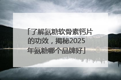 了解氨糖软骨素钙片的功效，揭秘2025年氨糖哪个品牌好