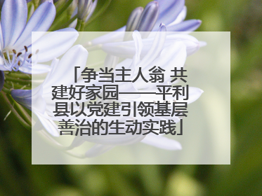争当主人翁 共建好家园——平利县以党建引领基层善治的生动实践
