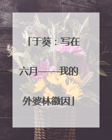 于葵：写在六月——我的外婆林徽因