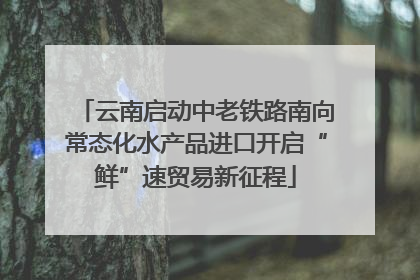 云南启动中老铁路南向常态化水产品进口开启“鲜”速贸易新征程
