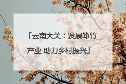 云南大关：发展筇竹产业 助力乡村振兴