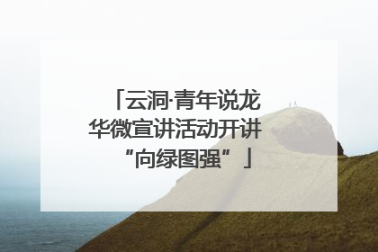 云洞·青年说龙华微宣讲活动开讲“向绿图强”