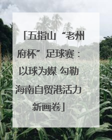 五指山“老州府杯”足球赛：以球为媒 勾勒海南自贸港活力新画卷