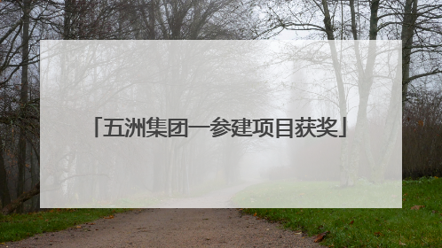五洲集团一参建项目获奖