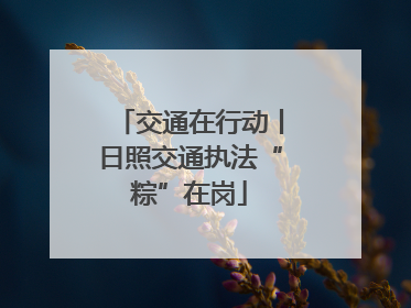 交通在行动丨日照交通执法“粽”在岗