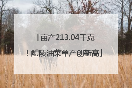 亩产213.04千克！醴陵油菜单产创新高