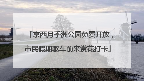 京西月季洲公园免费开放，市民假期驱车前来赏花打卡