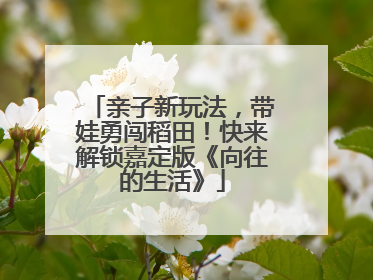 亲子新玩法，带娃勇闯稻田！快来解锁嘉定版《向往的生活》