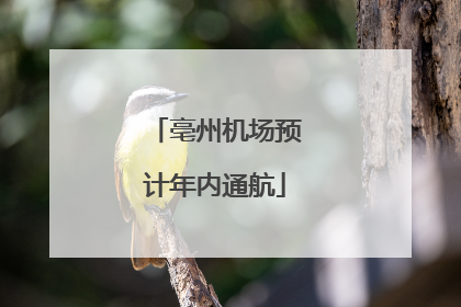 亳州机场预计年内通航