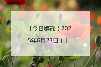 今日辟谣（2025年6月23日）